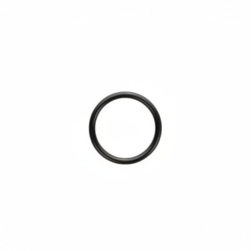 TVS O Ring Carburador | N8320560