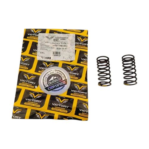 RESORTE INTERNO VALVULA-33628