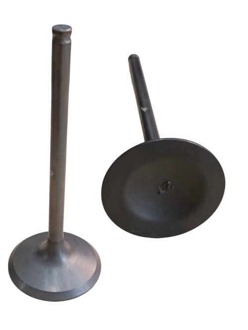 VÁLVULA DE ADMISIÓN-47354