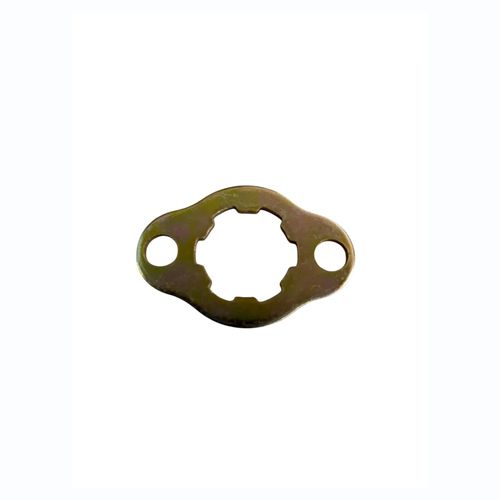 PLATINA PIÑON SALIDA-5961