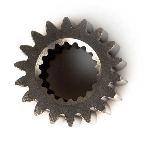 PIÑON PRIMARIO-29546