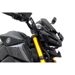 CUPULA-YAMAHA-MT15